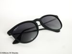 RB4171 - Erika Classic